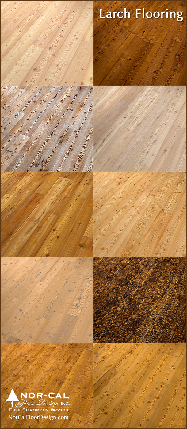 Larch Flooring Options Provide Great Color And Sense Of Warmth